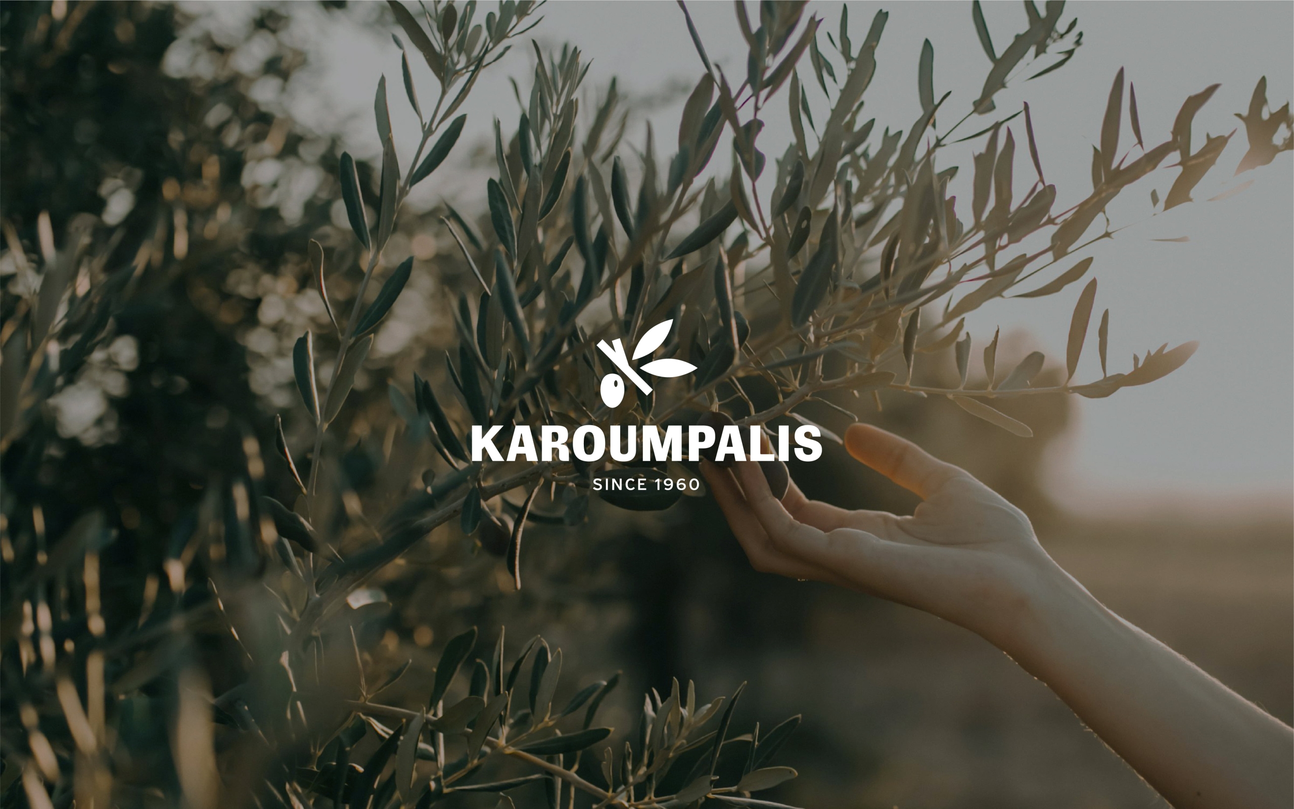 S & Team - Karoumpalis