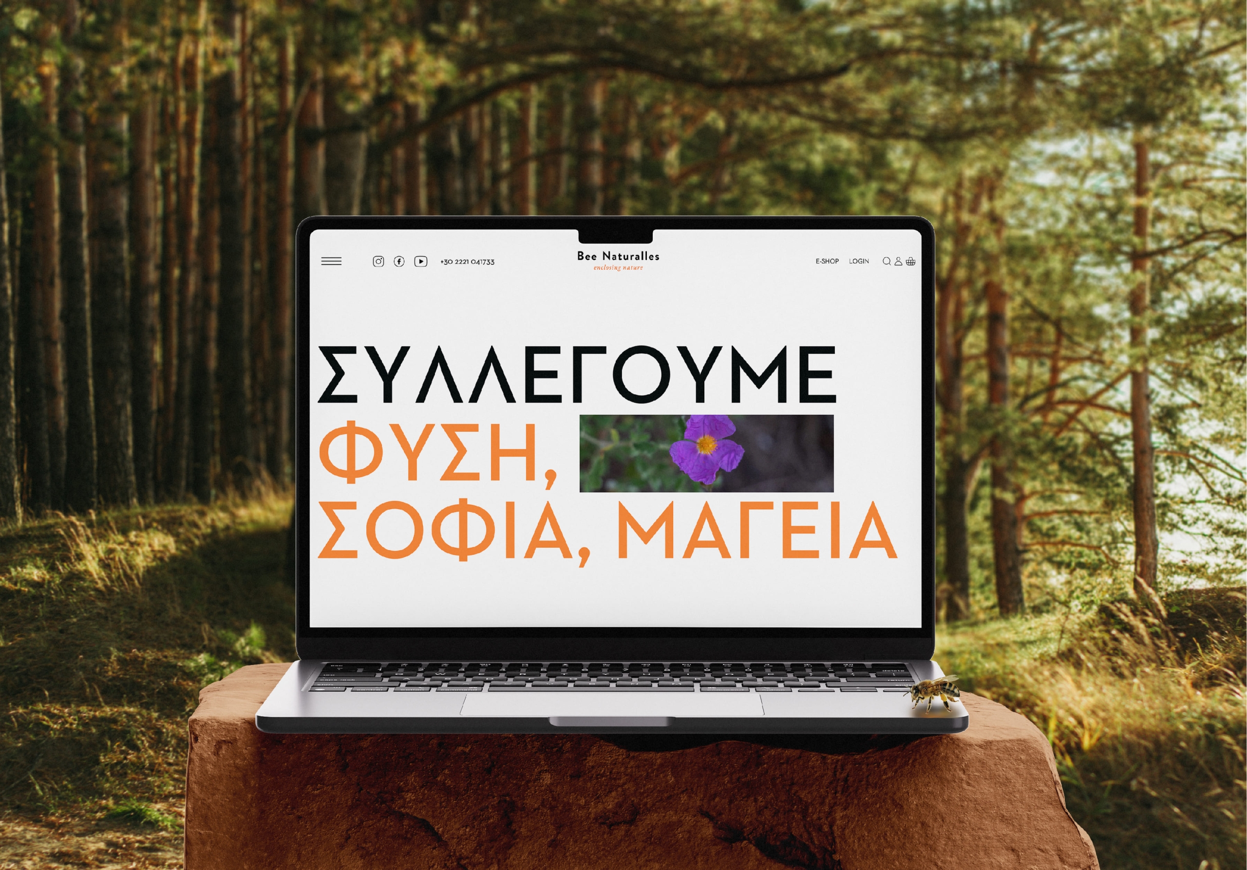 S & Team - Bee Naturalles – Website